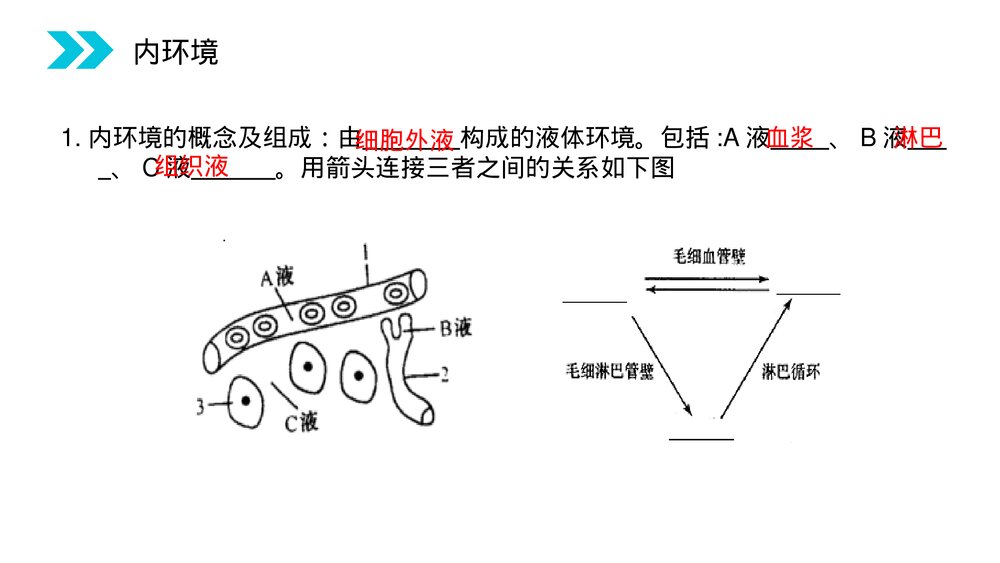 人教版高二生物必修三《细胞生活的环境》教学PPT课件3