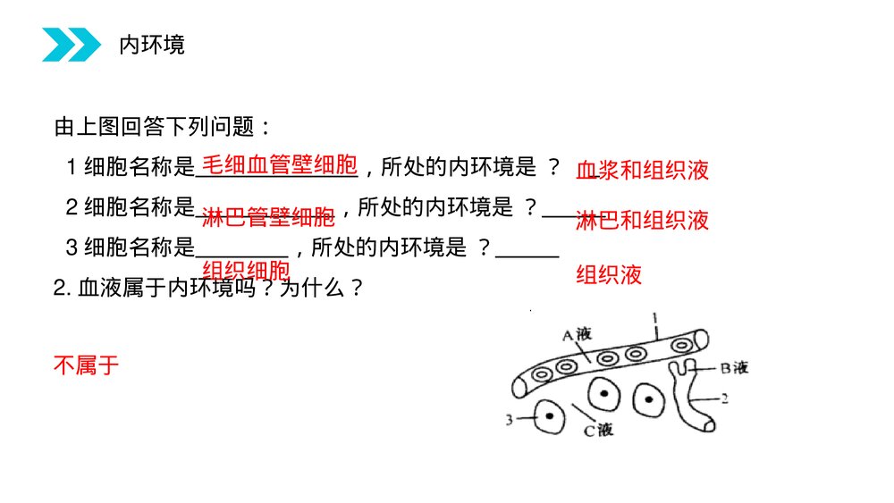 人教版高二生物必修三《细胞生活的环境》教学PPT课件4