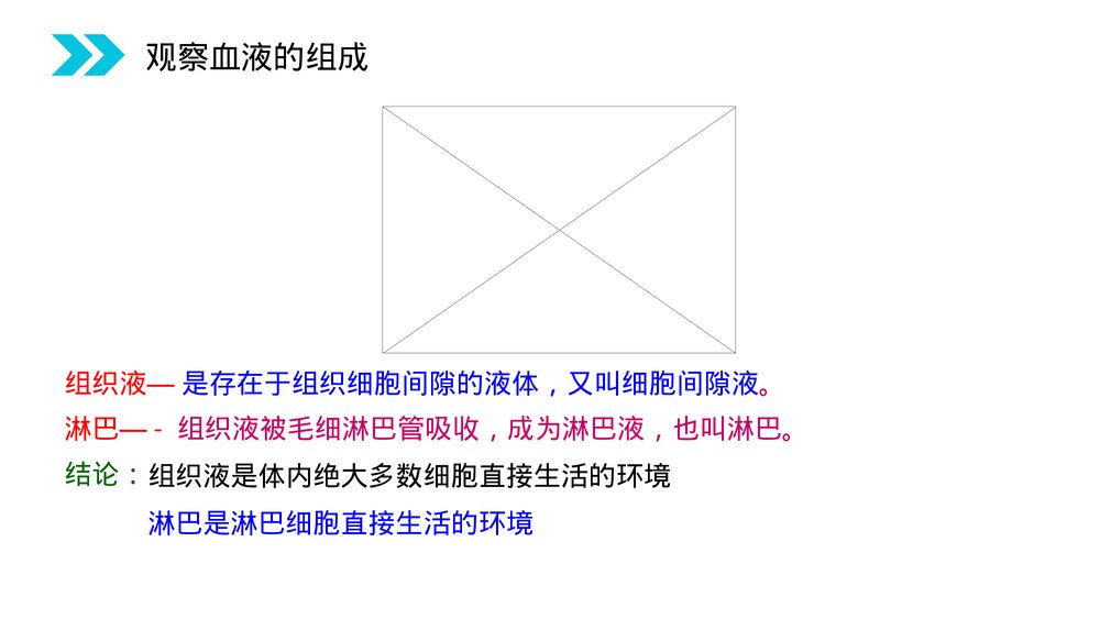 人教版高二生物必修三《细胞生活的环境》教学PPT课件6