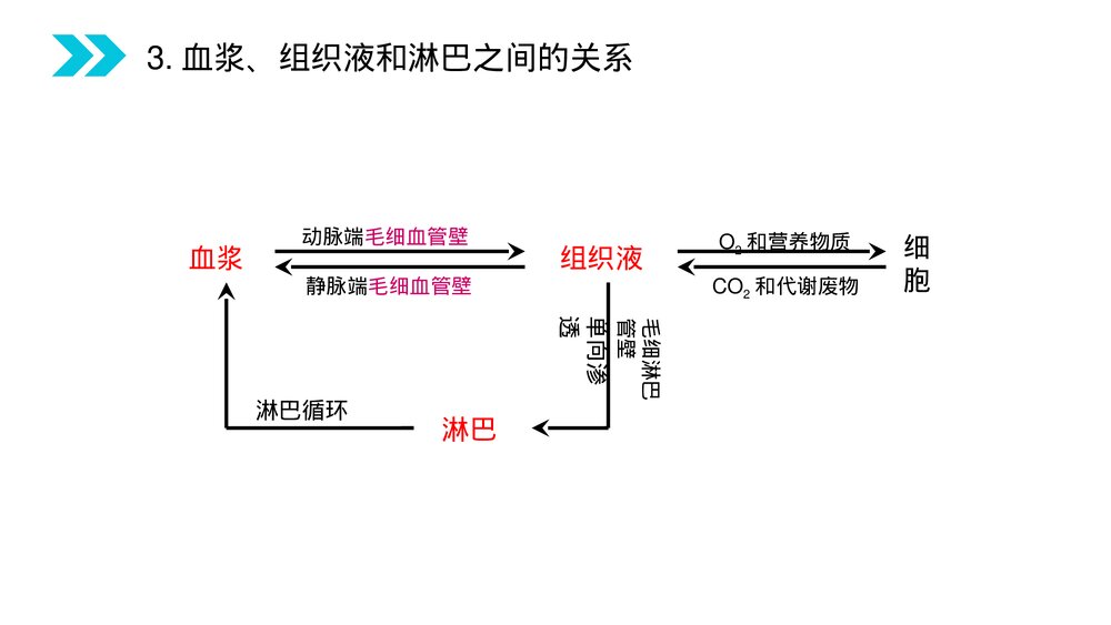 人教版高二生物必修三《细胞生活的环境》教学PPT课件7