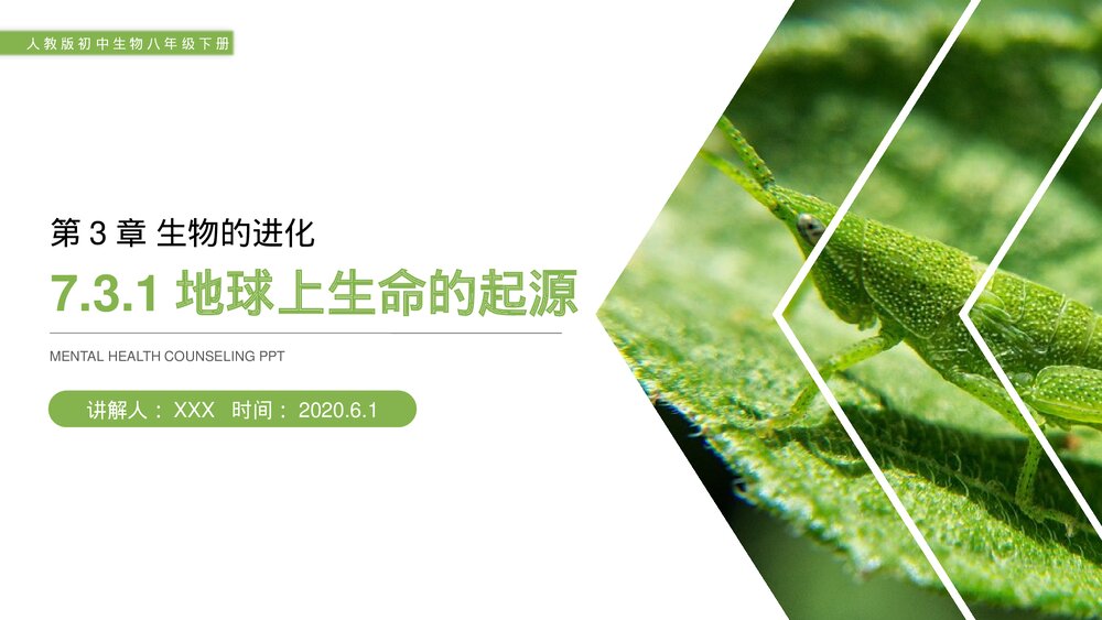 人教版初中生物八年级下册《生物的进化(地球上生命的起源)》PPT课件1