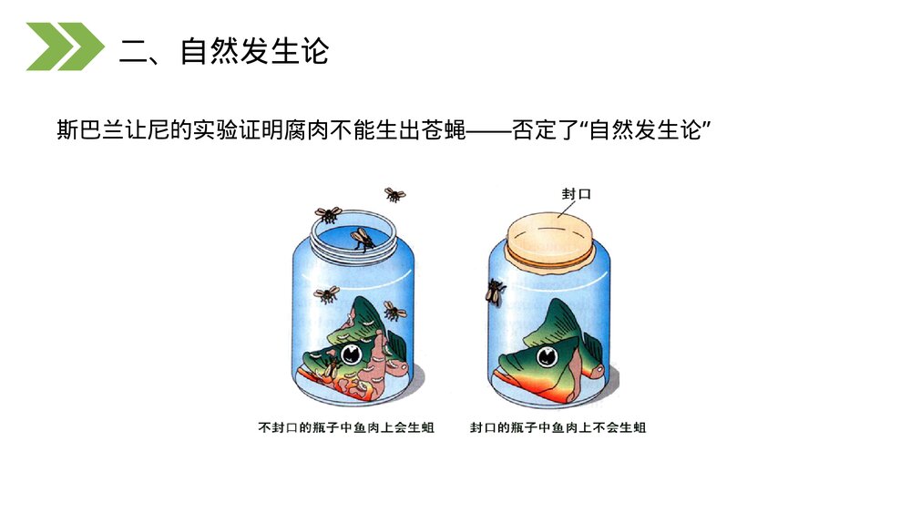 人教版初中生物八年级下册《生物的进化(地球上生命的起源)》PPT课件8