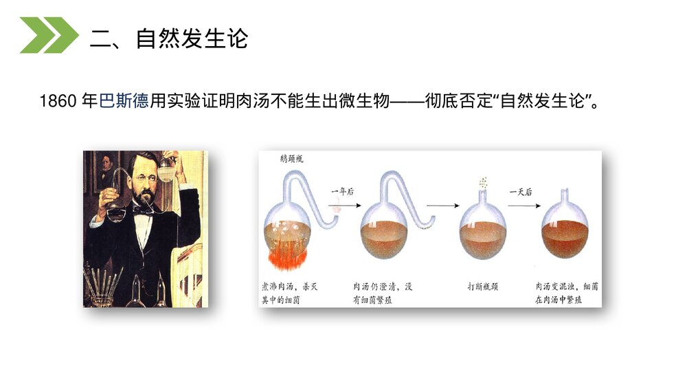 人教版初中生物八年级下册《生物的进化(地球上生命的起源)》PPT课件9