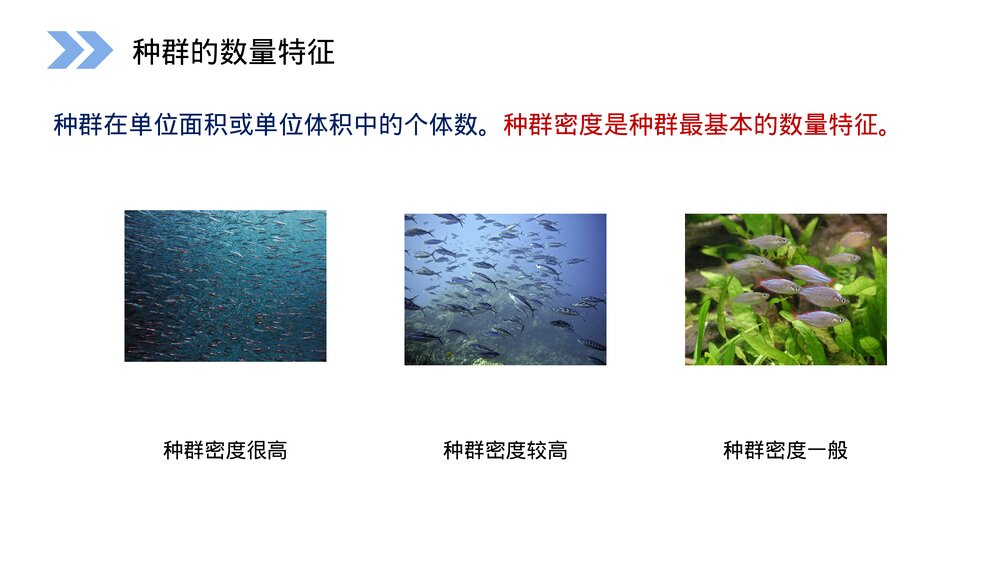 人教版高二生物必修三《种群的特征》教学PPT课件5