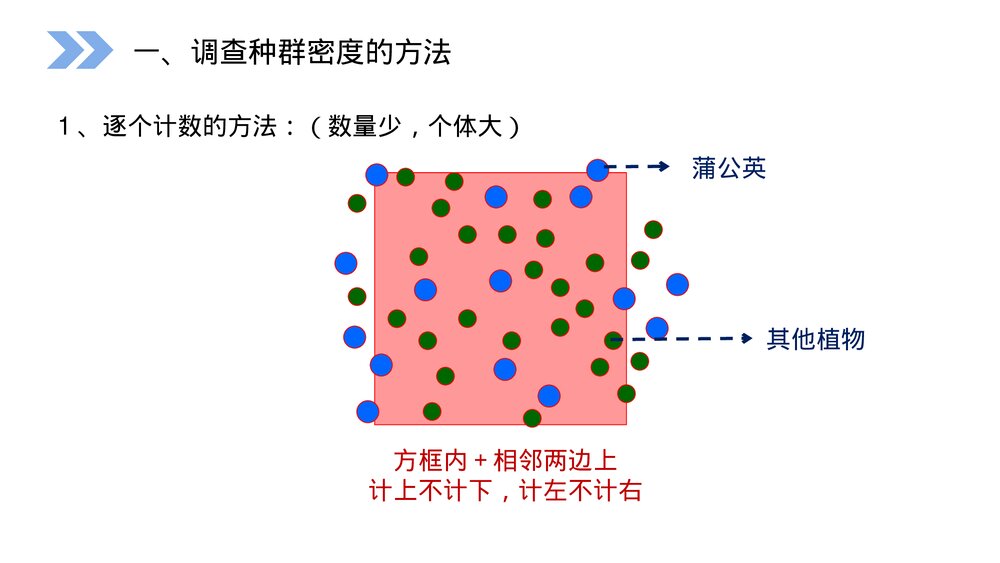 人教版高二生物必修三《种群的特征》教学PPT课件7