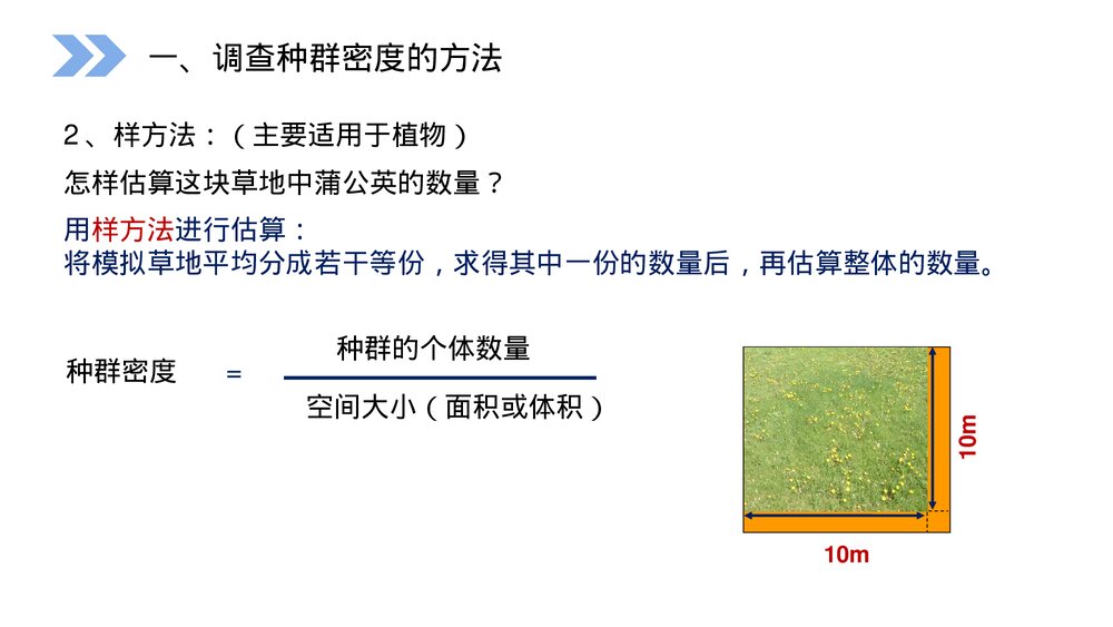 人教版高二生物必修三《种群的特征》教学PPT课件8