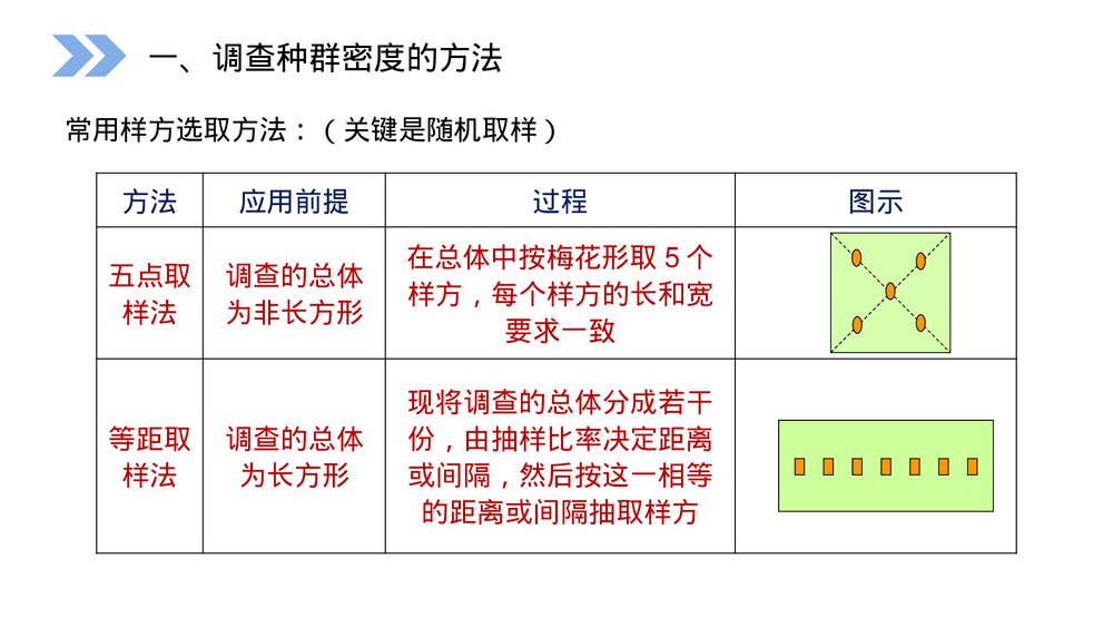 人教版高二生物必修三《种群的特征》教学PPT课件9