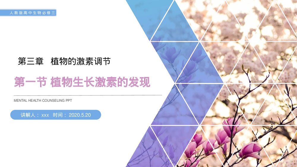 人教版高二生物必修三《植物生长激素的发现》教学PPT课件1