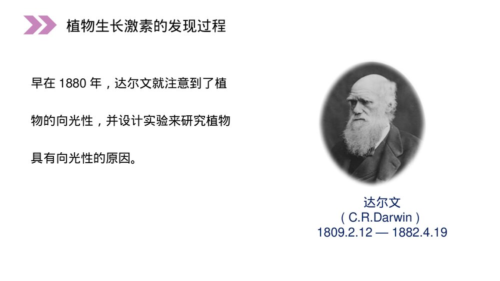 人教版高二生物必修三《植物生长激素的发现》教学PPT课件3