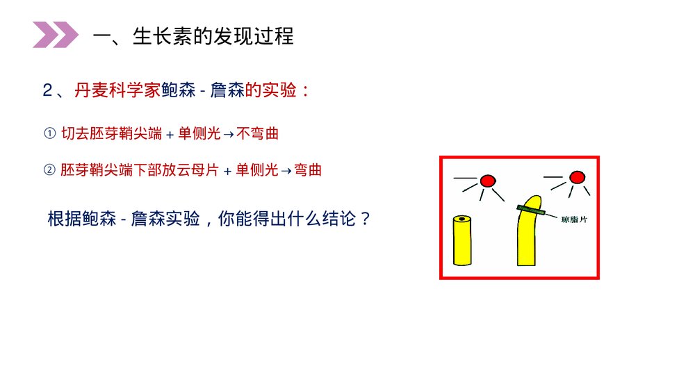 人教版高二生物必修三《植物生长激素的发现》教学PPT课件10