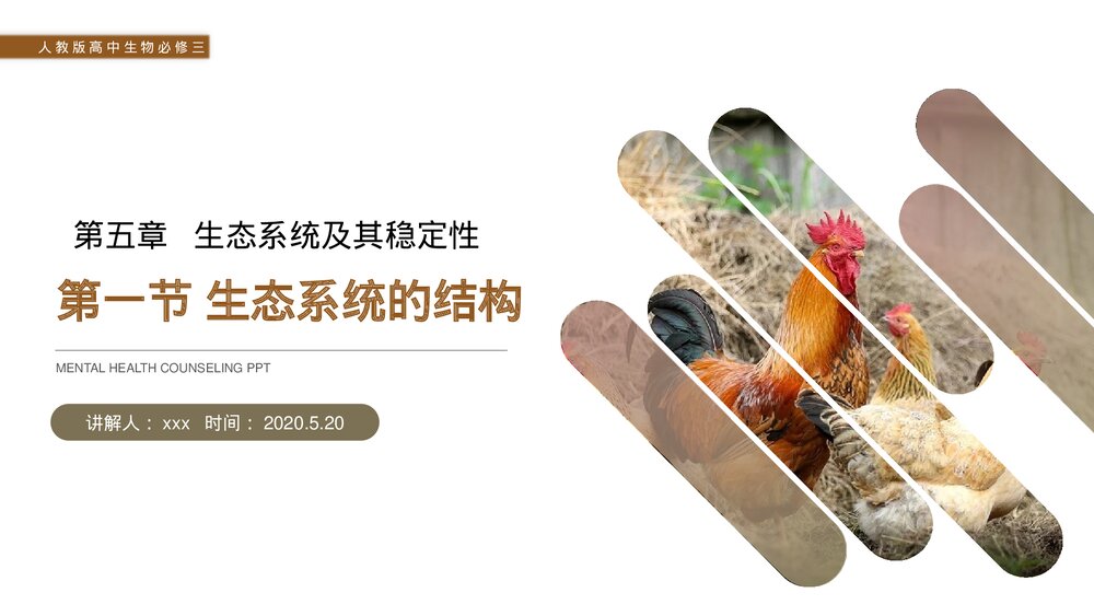 人教版高二生物必修三《生态系统的结构》教学PPT课件1