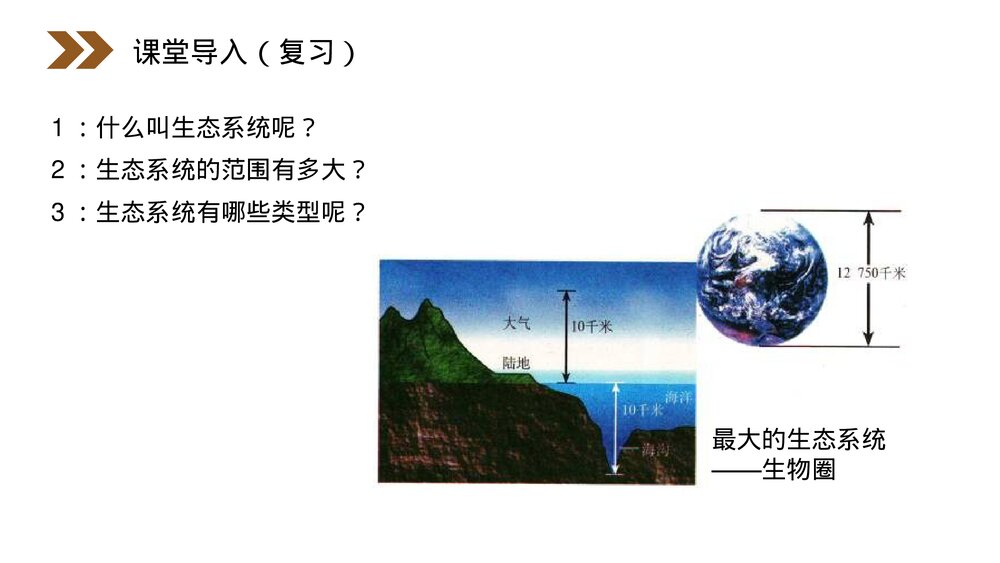 人教版高二生物必修三《生态系统的结构》教学PPT课件2