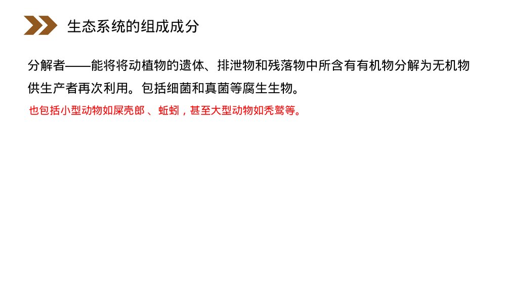 人教版高二生物必修三《生态系统的结构》教学PPT课件7