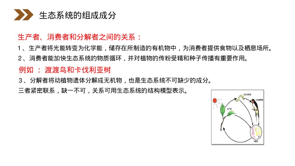 人教版高二生物必修三《生态系统的结构》教学PPT课件8