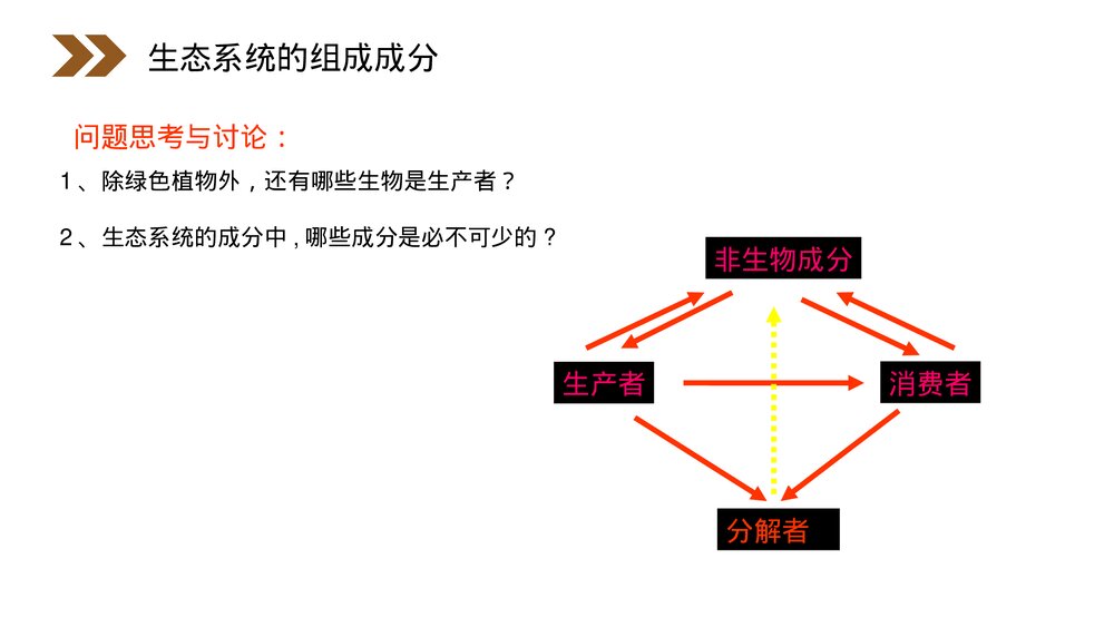 人教版高二生物必修三《生态系统的结构》教学PPT课件9