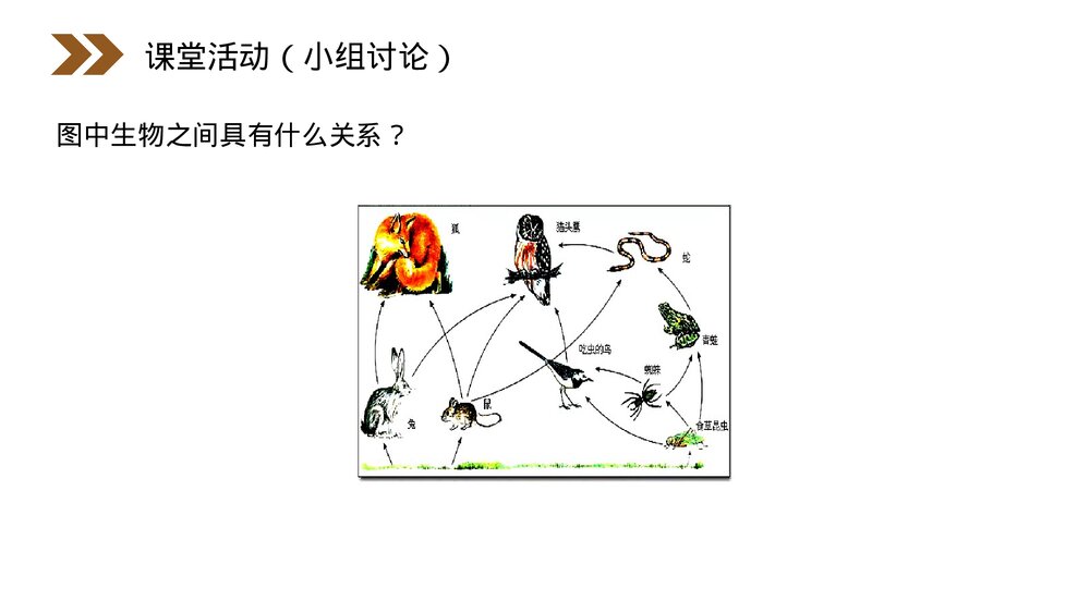 人教版高二生物必修三《生态系统的结构》教学PPT课件10
