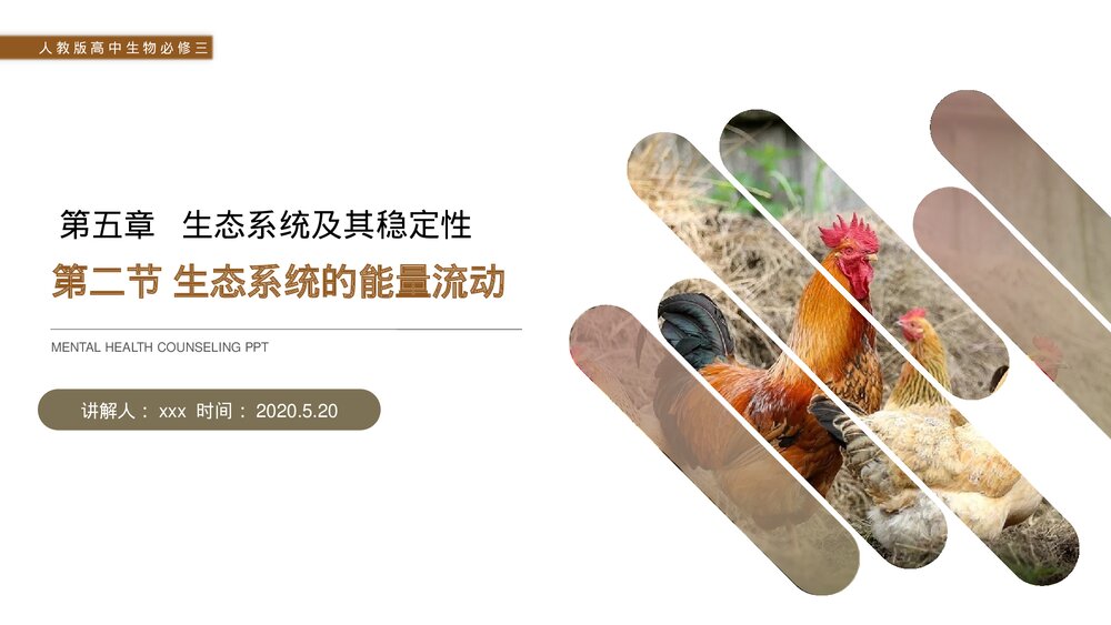 人教版高二生物必修三《生态系统的能量流动》教学PPT课件1