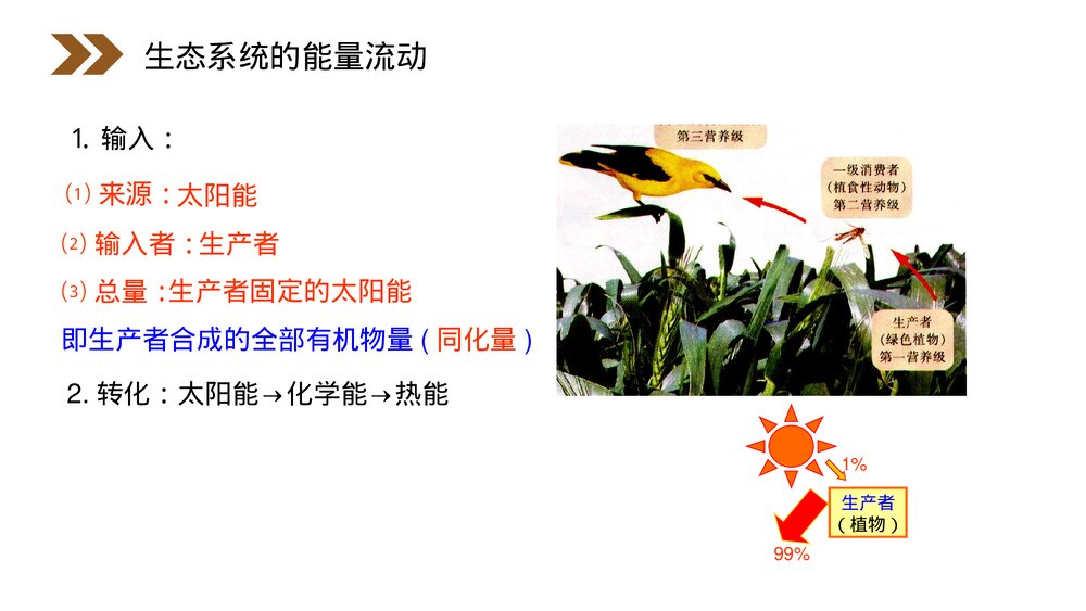 人教版高二生物必修三《生态系统的能量流动》教学PPT课件4