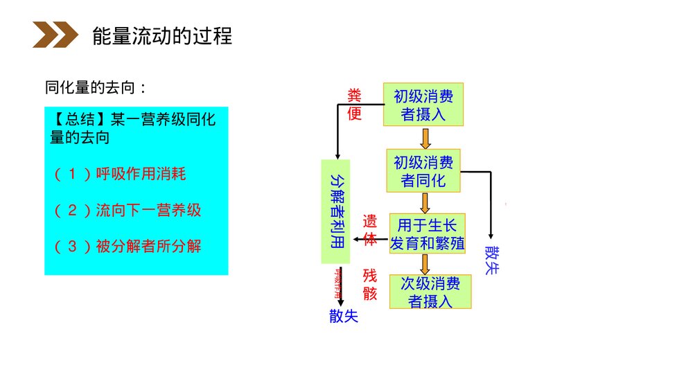 人教版高二生物必修三《生态系统的能量流动》教学PPT课件7