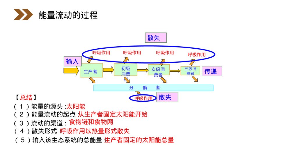 人教版高二生物必修三《生态系统的能量流动》教学PPT课件8