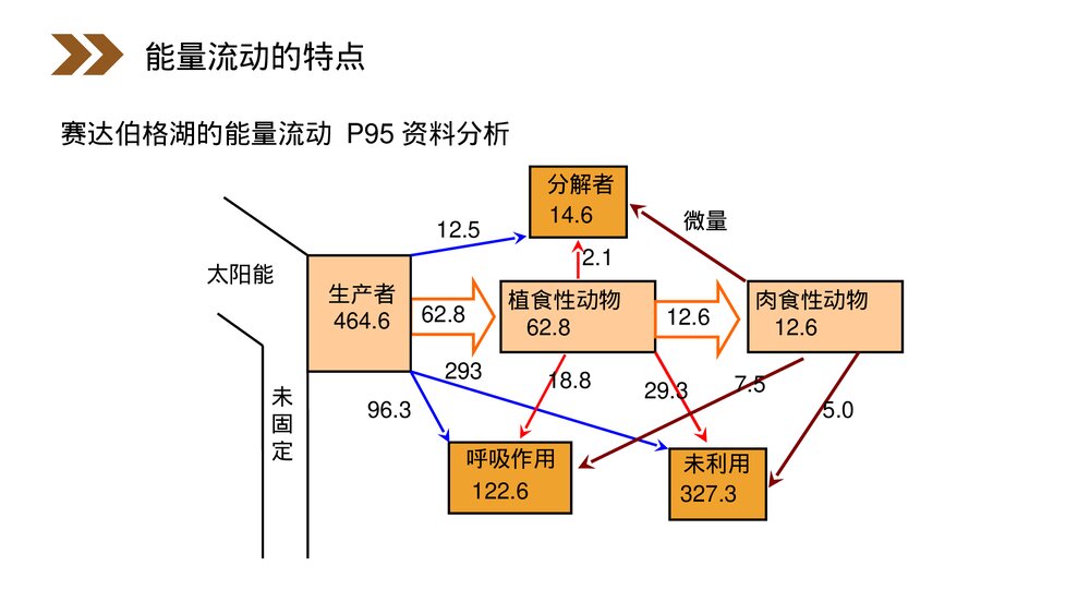 人教版高二生物必修三《生态系统的能量流动》教学PPT课件10