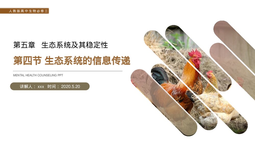 人教版高二生物必修三《生态系统的信息传递》教学PPT课件1