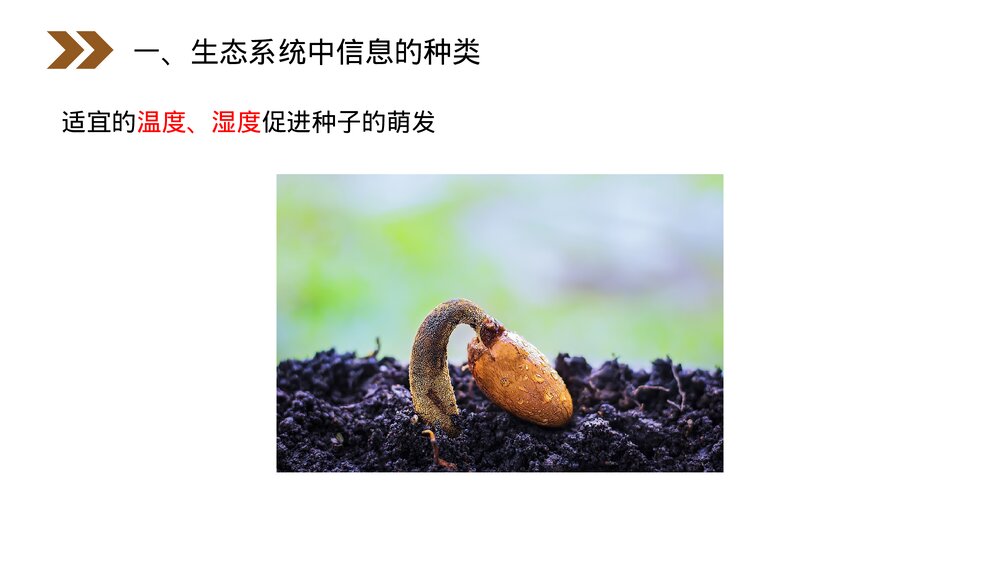 人教版高二生物必修三《生态系统的信息传递》教学PPT课件6