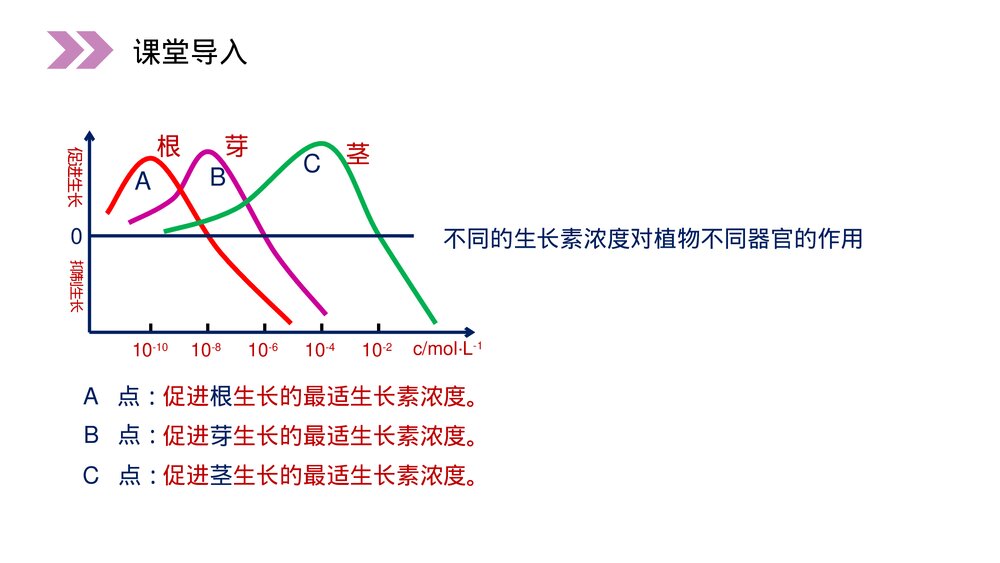 人教版高二生物必修三《生长素的生理作用》教学PPT课件2