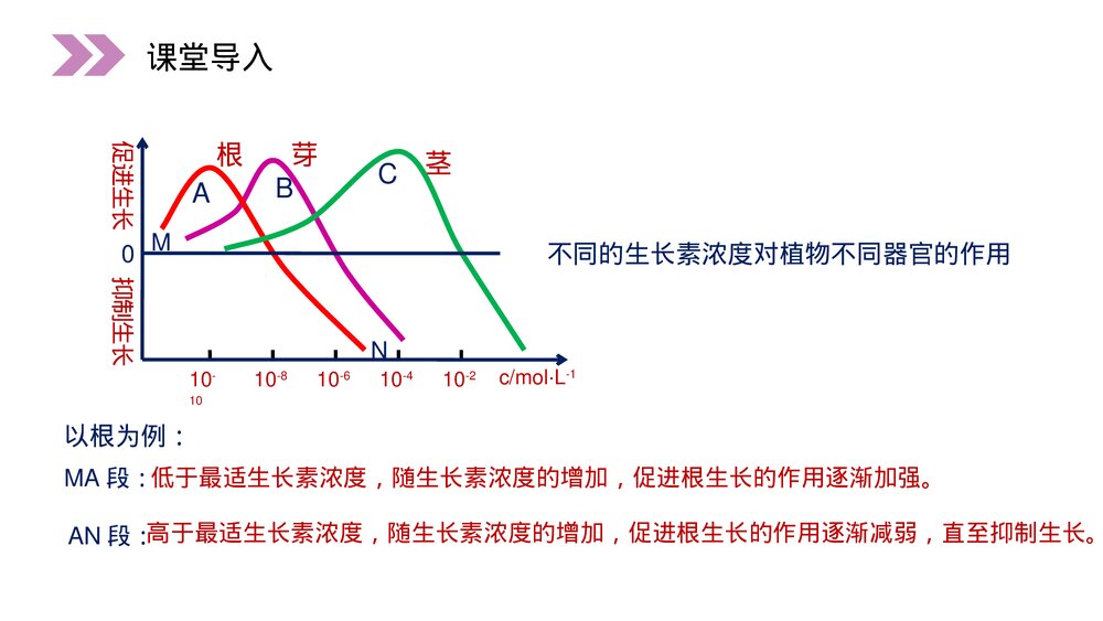 人教版高二生物必修三《生长素的生理作用》教学PPT课件6