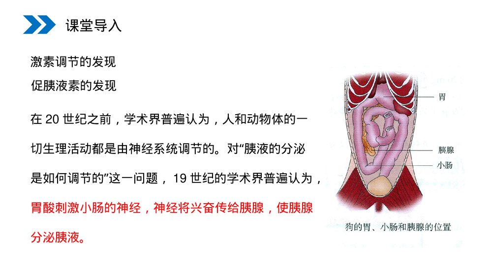 人教版高二生物必修三《通过激素的调节》教学PPT课件2