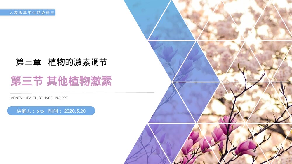 人教版高二生物必修三《其他植物激素》教学PPT课件1