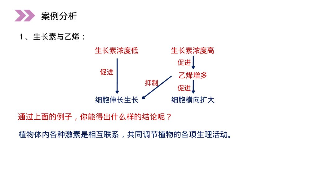 人教版高二生物必修三《其他植物激素》教学PPT课件9