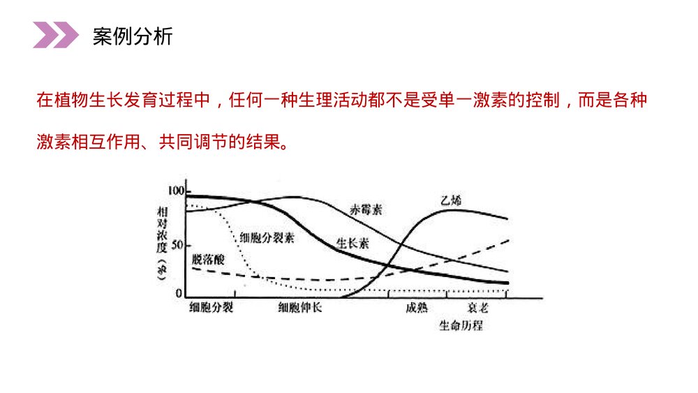 人教版高二生物必修三《其他植物激素》教学PPT课件10