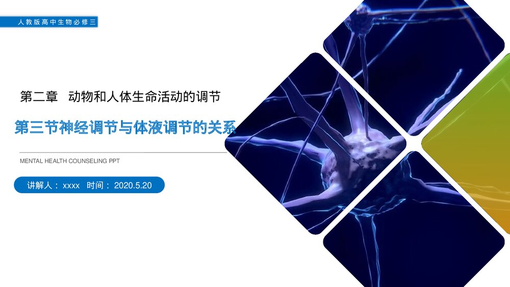 人教版高二生物必修三《神经调节与体液调节的关系》教学PPT课件1