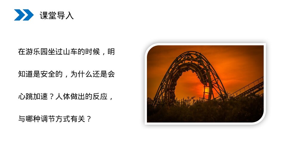 人教版高二生物必修三《神经调节与体液调节的关系》教学PPT课件2