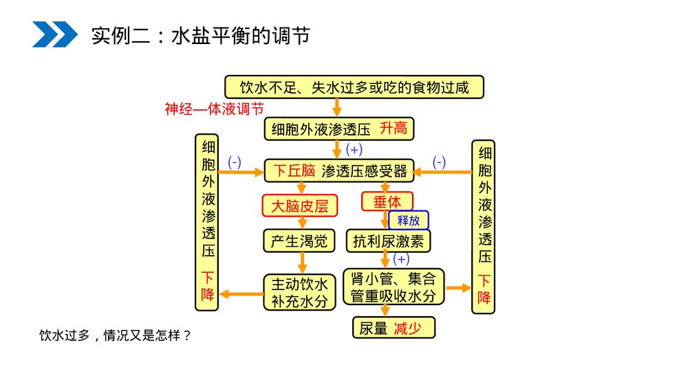 人教版高二生物必修三《神经调节与体液调节的关系》教学PPT课件10