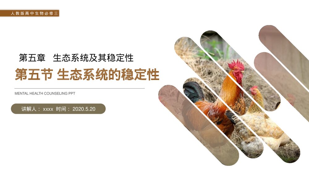 人教版高二生物必修三《生态系统的稳定性》教学PPT课件1