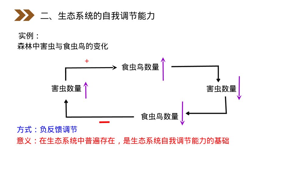 人教版高二生物必修三《生态系统的稳定性》教学PPT课件5