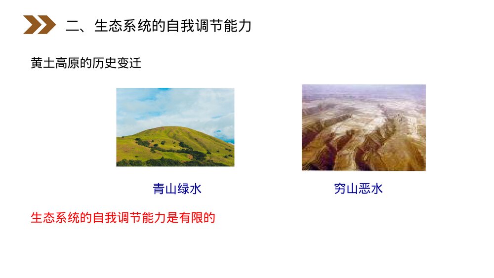 人教版高二生物必修三《生态系统的稳定性》教学PPT课件7