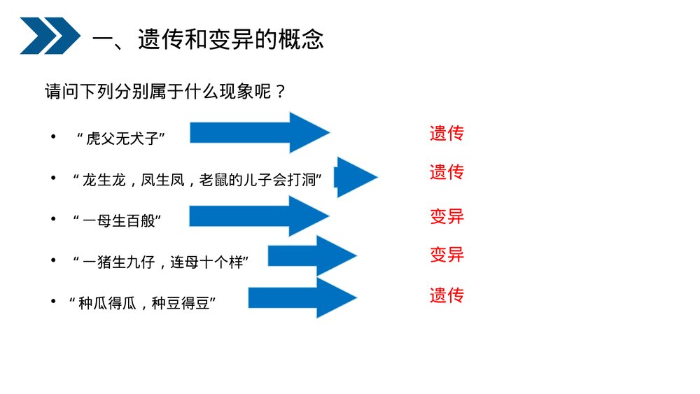 人教版初中生物八年级下册《生物的遗传和变异(基因控制生物的性状)》PPT课件7