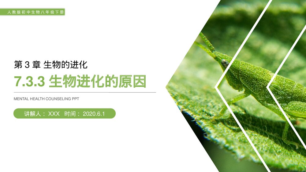 人教版初中生物八年级下册《生物进化的原因》PPT课件1