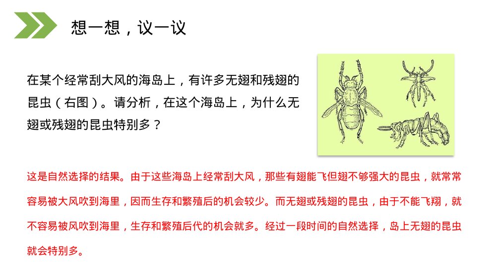 人教版初中生物八年级下册《生物进化的原因》PPT课件3