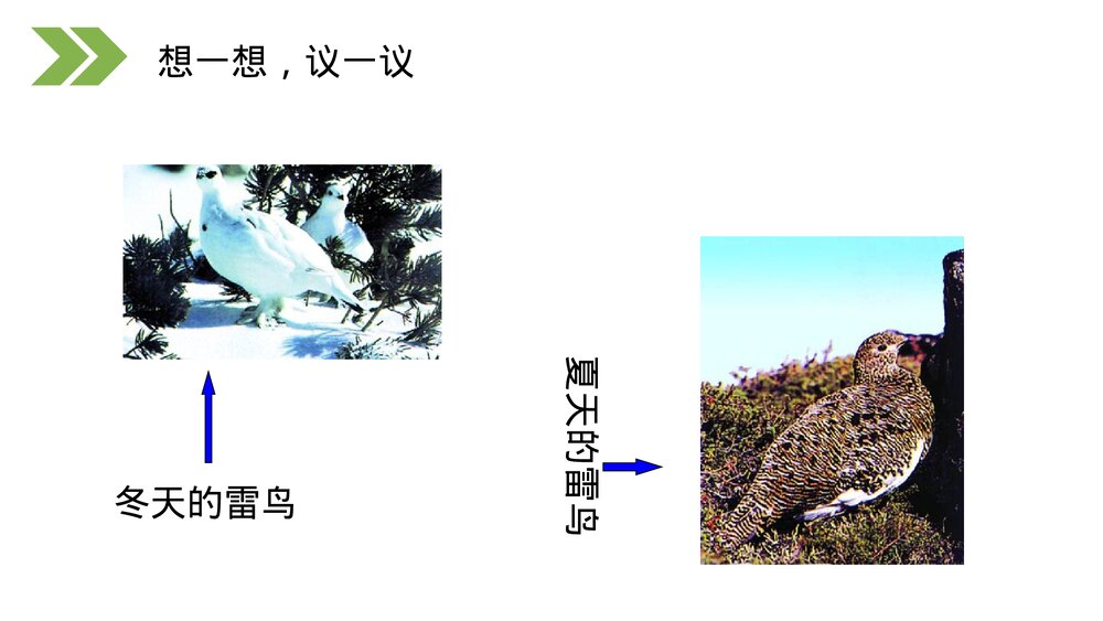人教版初中生物八年级下册《生物进化的原因》PPT课件5