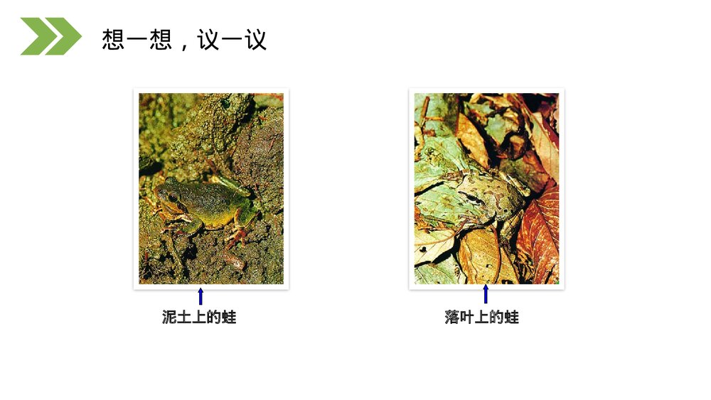 人教版初中生物八年级下册《生物进化的原因》PPT课件6