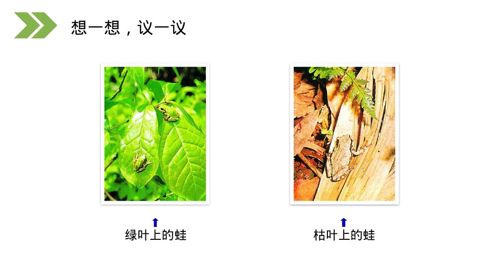 人教版初中生物八年级下册《生物进化的原因》PPT课件7