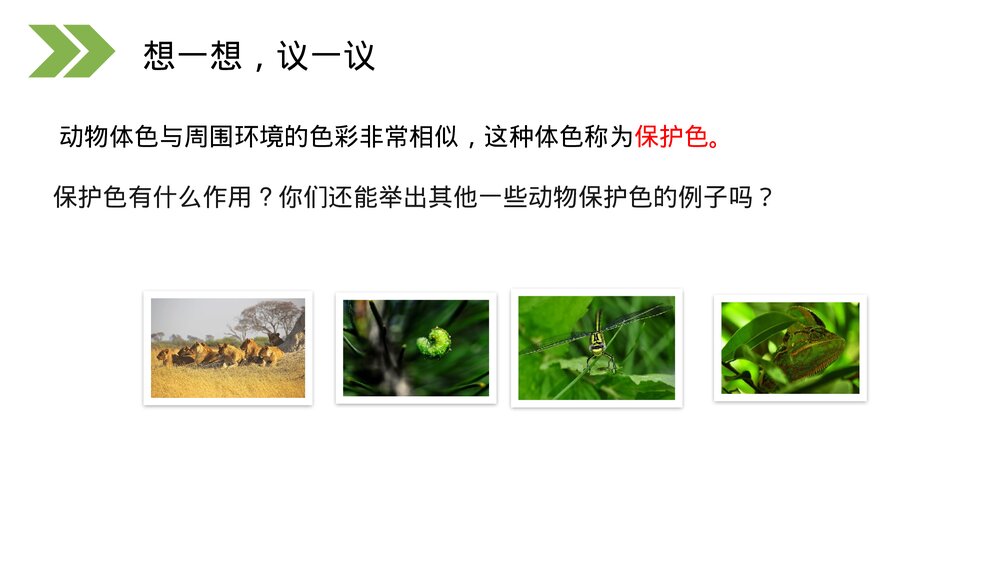 人教版初中生物八年级下册《生物进化的原因》PPT课件8