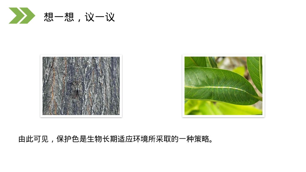 人教版初中生物八年级下册《生物进化的原因》PPT课件9