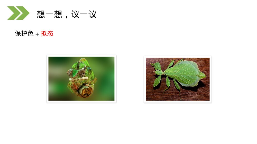 人教版初中生物八年级下册《生物进化的原因》PPT课件10