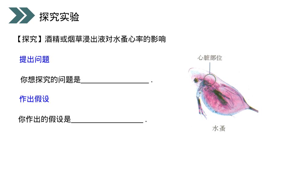 人教版初中生物八年级下册《选择健康的生活方式》PPT课件9