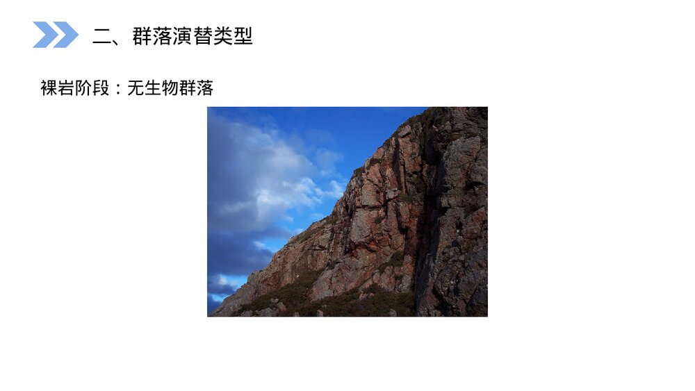 人教版高二生物必修三《群落的演替》教学PPT课件7